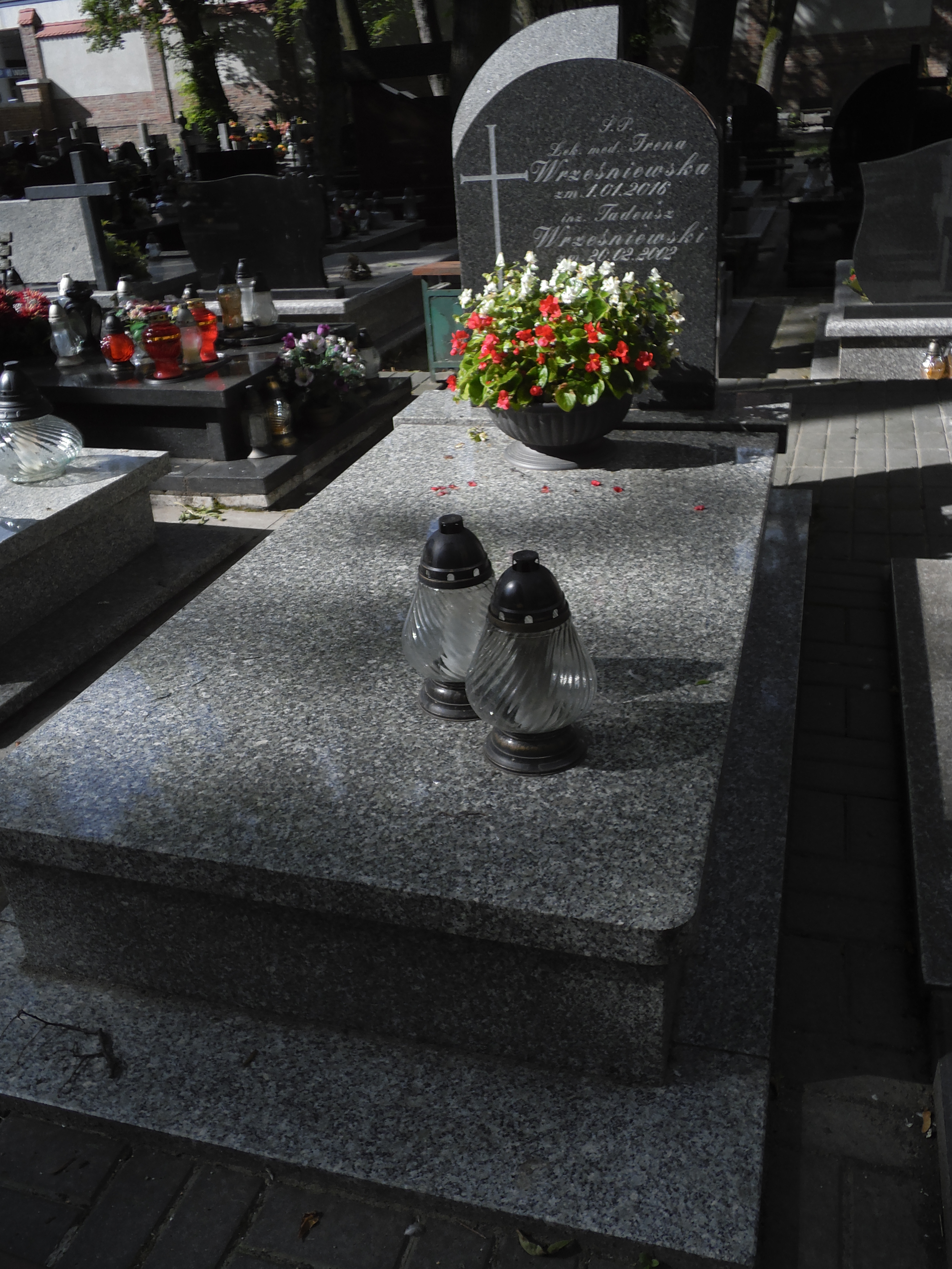 Alicja Wrześniewska 1927 Lublin prawosławny - Grobonet - Wyszukiwarka osób pochowanych