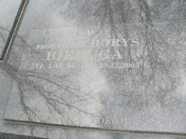 Borys Bieluga Lublin prawosławny - Grobonet - Wyszukiwarka osób pochowanych