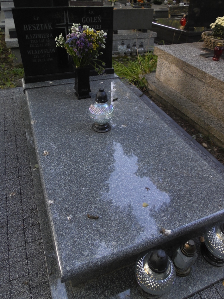 Władysław Besztak Lublin prawosławny - Grobonet - Wyszukiwarka osób pochowanych