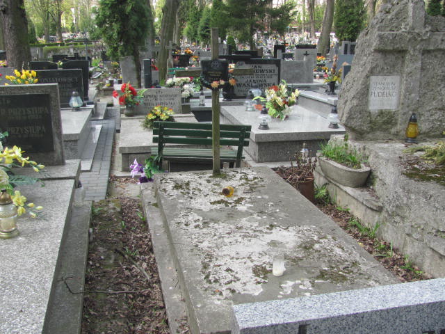 Grób Janina Pudełko 